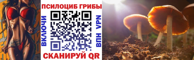 Галлюциногенные грибы MAGIC MUSHROOMS  hydra маркетплейс  Лангепас 